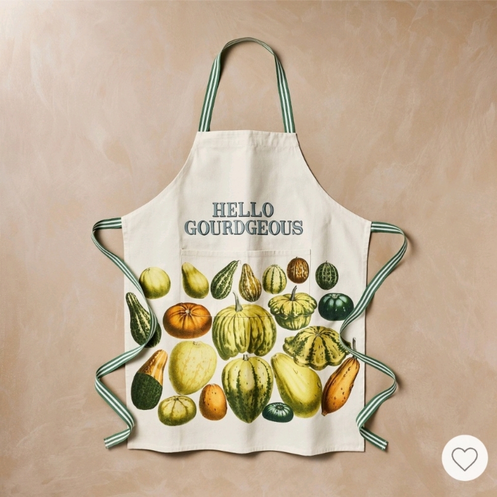 NWT John Derian Apron